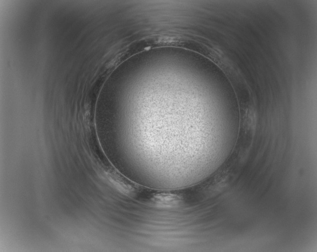 X0000081560557200701221030