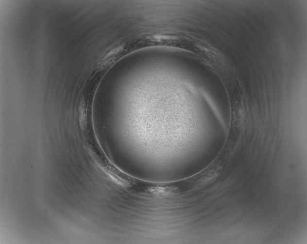 X0000081560558200701221030