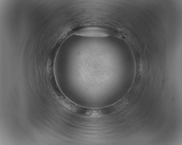 X0000081560559200701221030