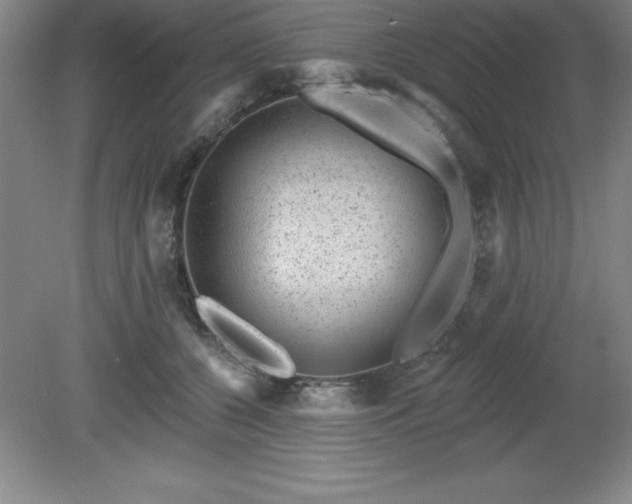 X0000081560560200701221030