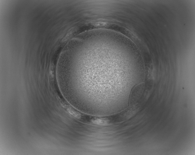 X0000081560561200701221030