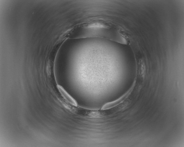 X0000081560562200701221030