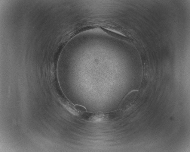 X0000081560563200701221030