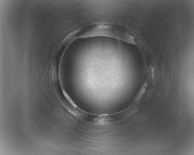 X0000081560564200701221030