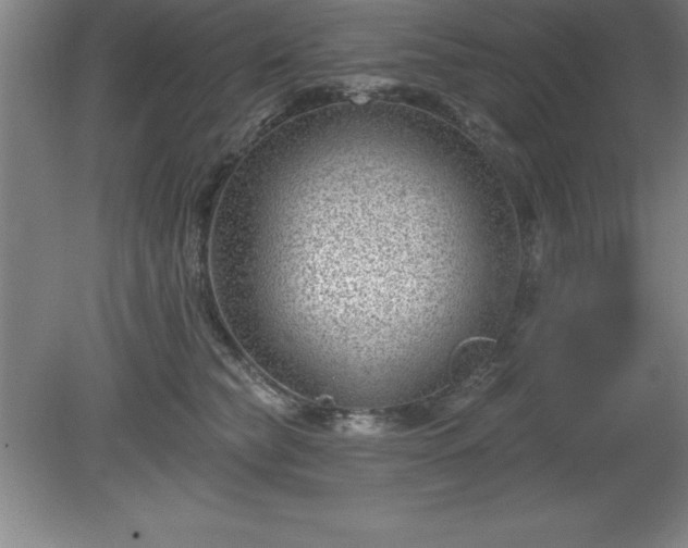 X0000081560565200701221030