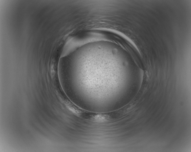 X0000081560566200701221030