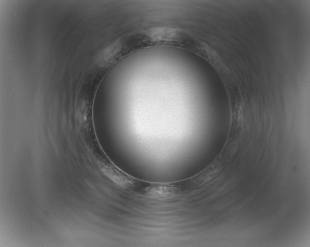 X0000081560567200701221030