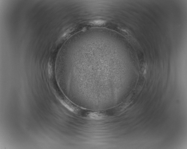 X0000081560568200701221030