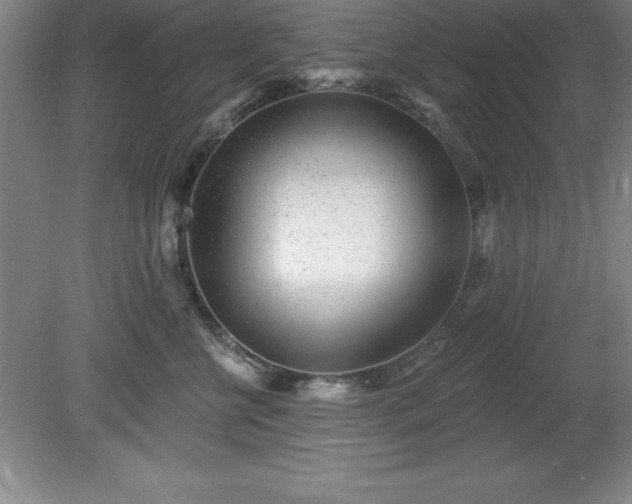 X0000081560570200701221030