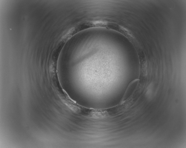 X0000081560571200701221030