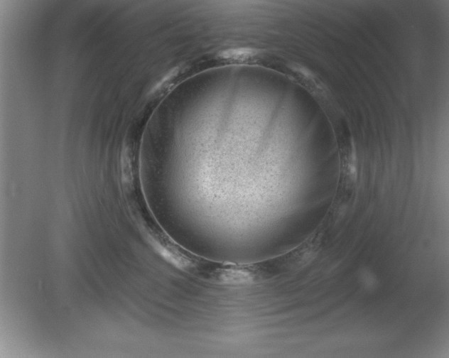 X0000081560572200701221030