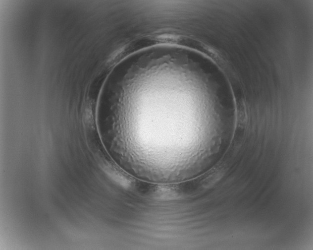 X0000081560573200701221030