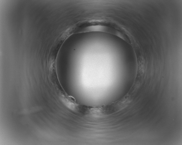 X0000081560574200701221030