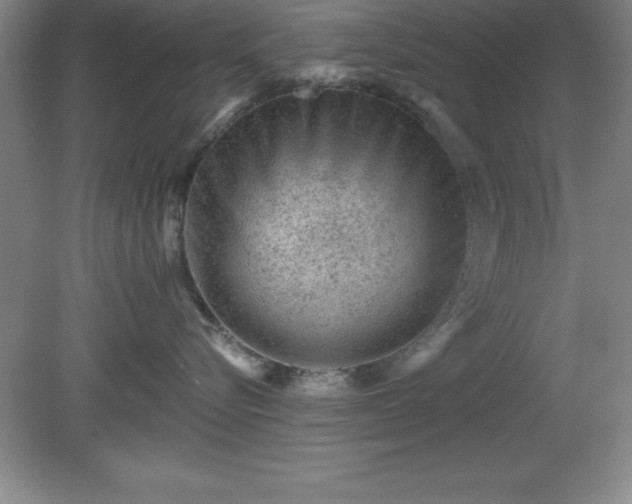 X0000081560576200701221030