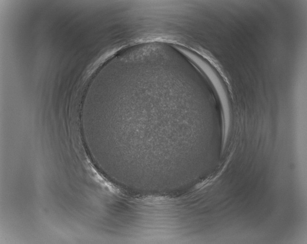 X0000081560577200701221029