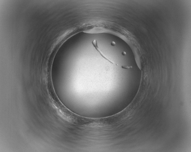 X0000081560578200701221029