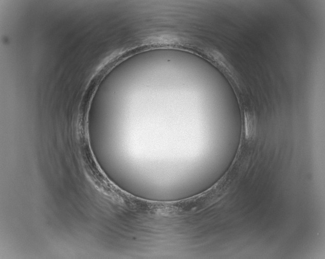 X0000081560579200701221029