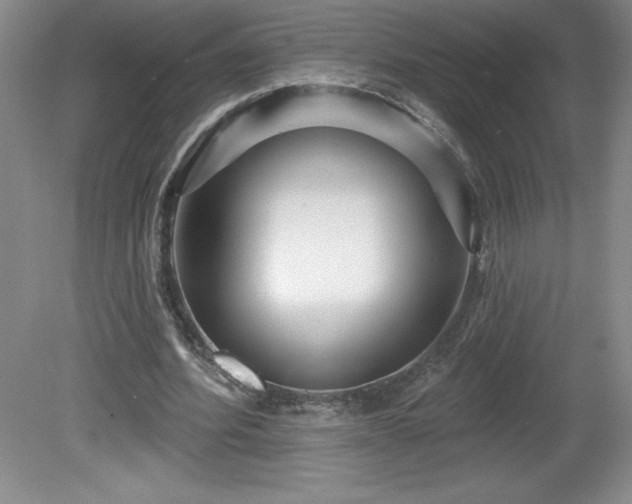 X0000081560580200701221029