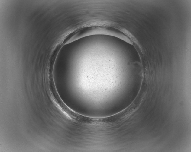 X0000081560581200701221029