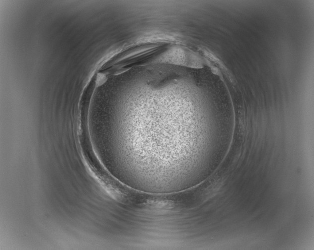 X0000081560582200701221029