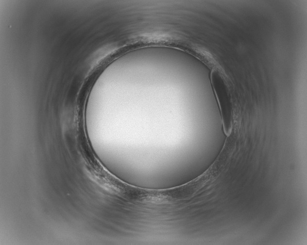 X0000081560583200701221029