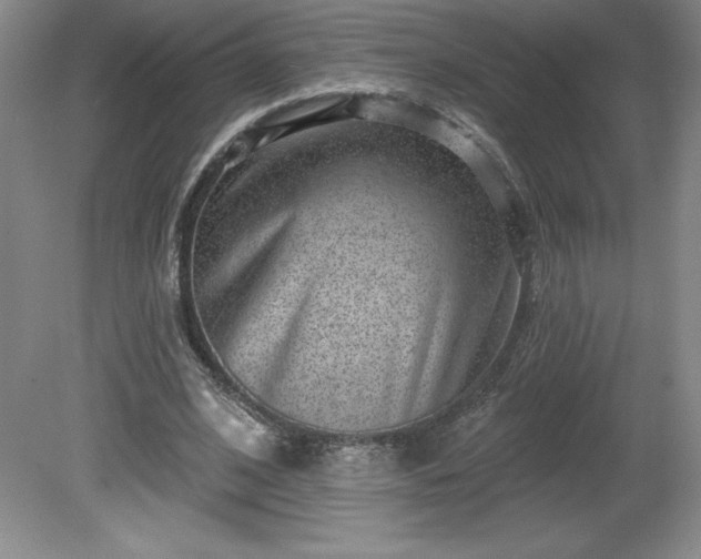 X0000081560584200701221029