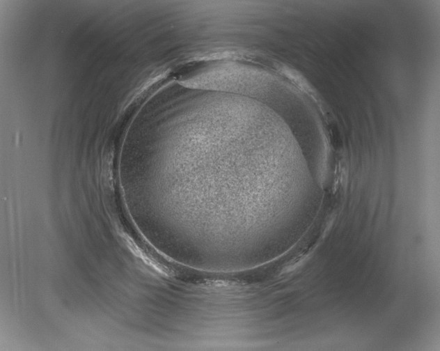 X0000081560585200701221029