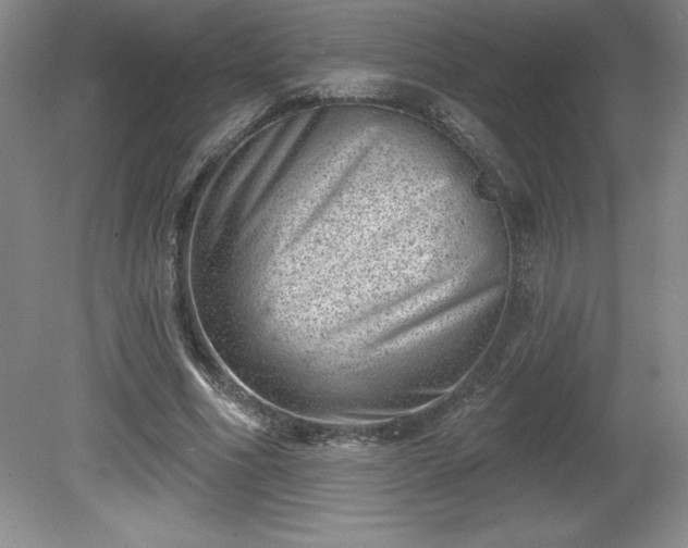 X0000081560586200701221029