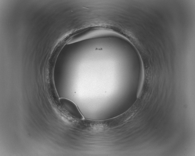 X0000081560587200701221029