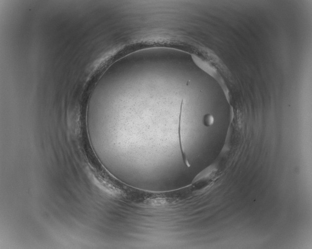 X0000081560588200701221029