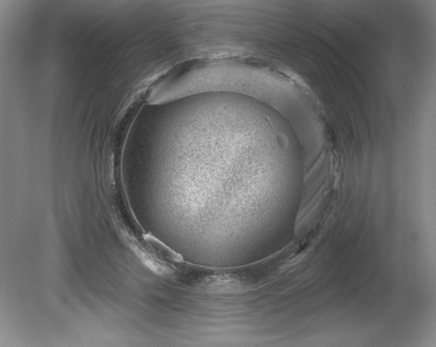 X0000081560589200701221029