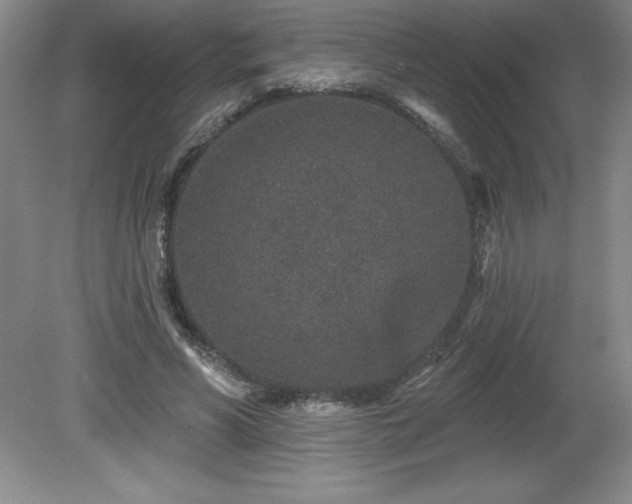 X0000081560590200701221029