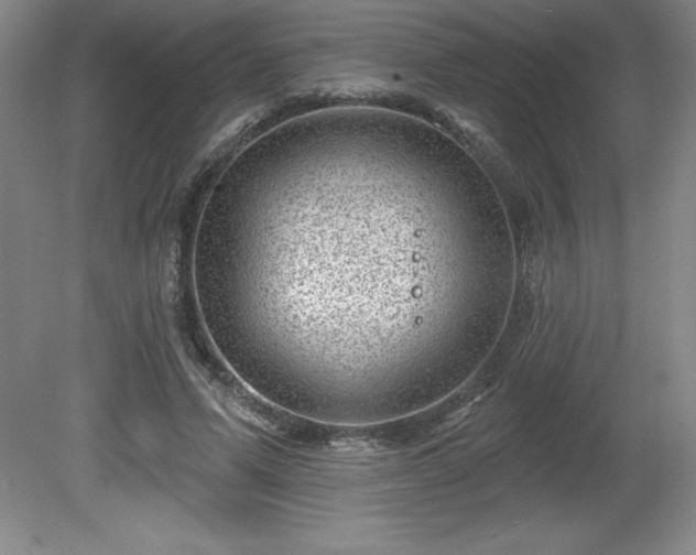 X0000081560591200701221029