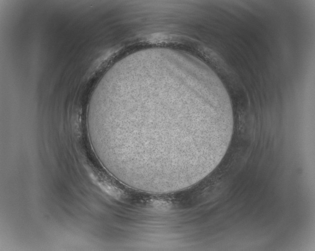 X0000081560592200701221029