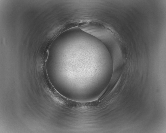 X0000081560593200701221029