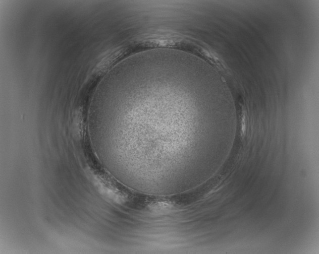 X0000081560594200701221029