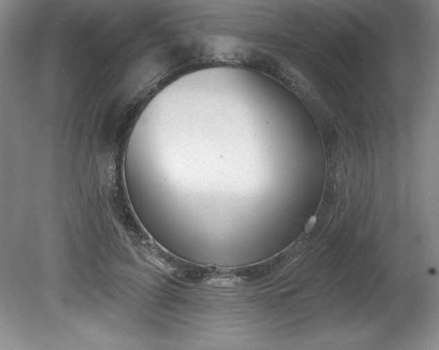 X0000081560595200701221029