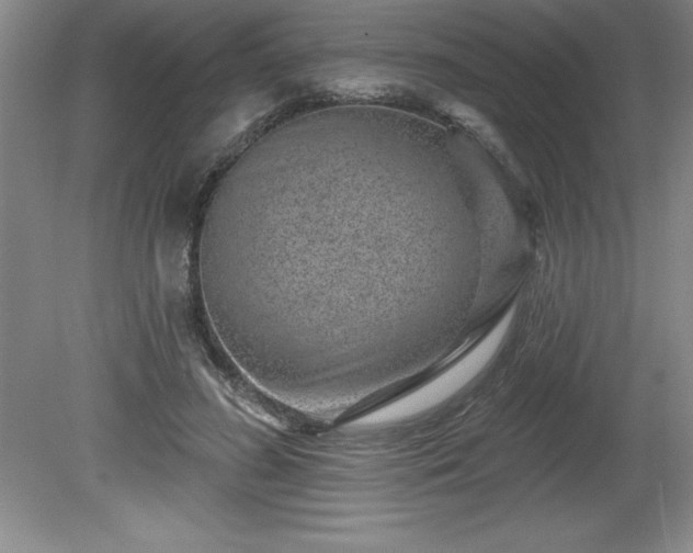 X0000081560596200701221029