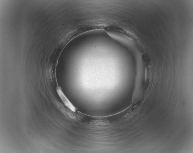 X0000081560597200701221029