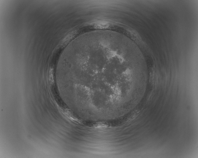 X0000081560598200701221029