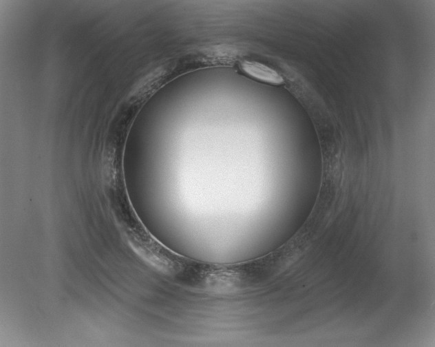 X0000081560599200701221029