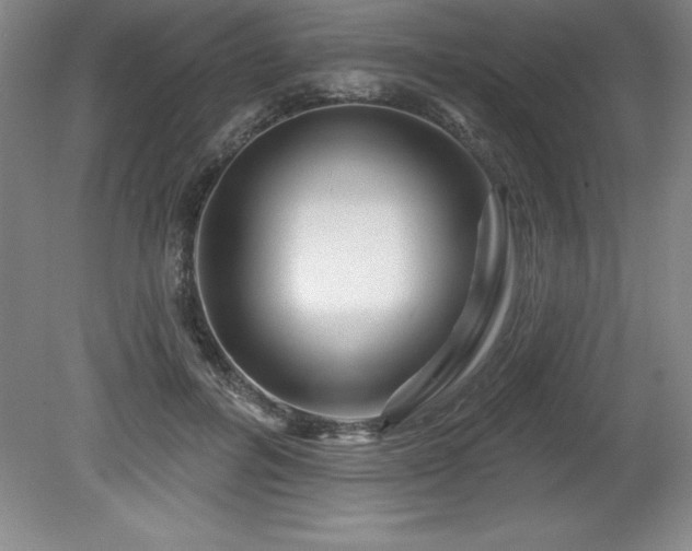 X0000081560600200701221029