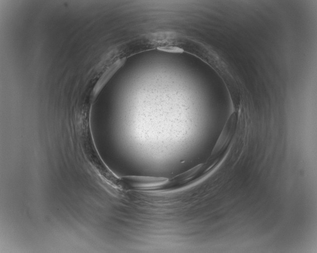 X0000081560601200701221029