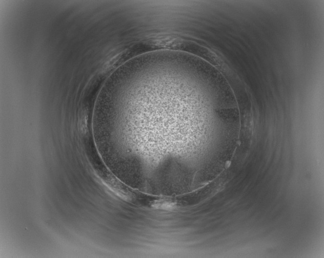 X0000081560602200701221029