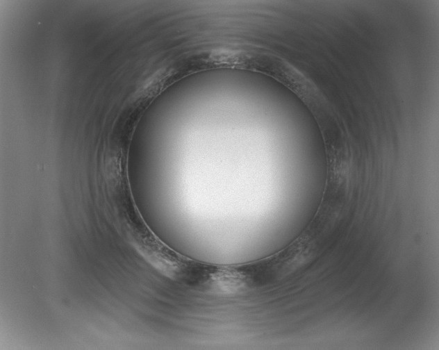 X0000081560603200701221029