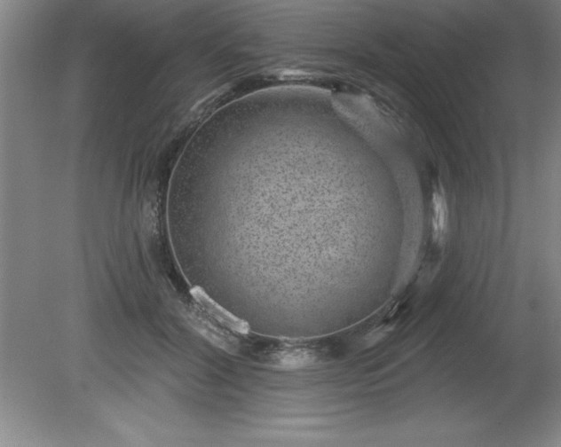 X0000081560604200701221029