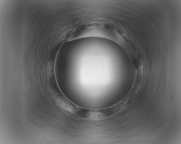 X0000081560605200701221029