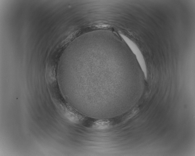 X0000081560606200701221029