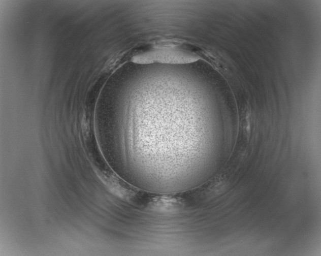 X0000081560607200701221029