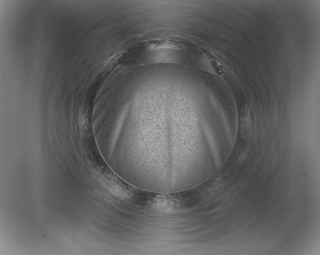 X0000081560608200701221029